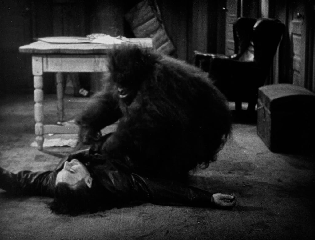 Blu-ray: The Devil Bear – Gold Ninja Video