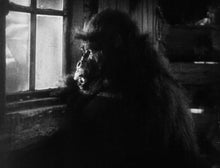 Blu-ray: The Devil Bear
