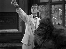 Blu-ray: Bela Lugosi Meets A Brooklyn Gorilla